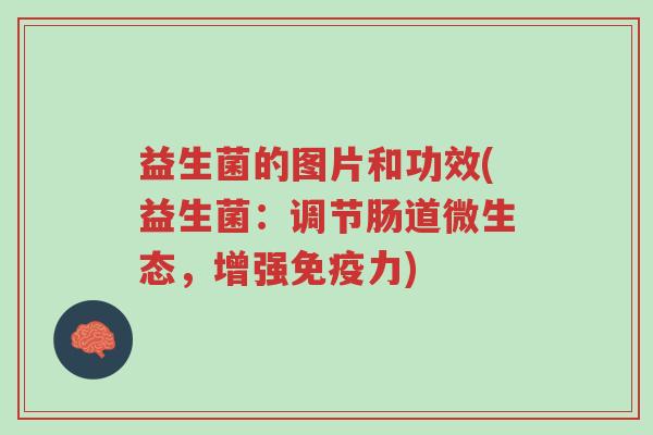 益生菌的图片和功效(益生菌:调节肠道微生态,增强免疫力)-第1张图片-超越 益生菌的图片和功效(益生菌:调节肠道微生态,增强免疫力)-第1张图片-超越