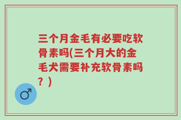 三个月金毛有必要吃软骨素吗(三个月大的金毛犬需要补充软骨素吗?)-第1张图片-超越 三个月金毛有必要吃软骨素吗(三个月大的金毛犬需要补充软骨素吗?)-第1张图片-超越