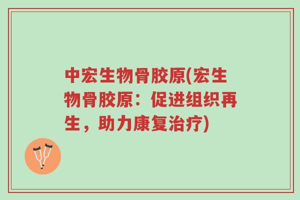 中宏生物骨胶原(宏生物骨胶原:促进组织再生,助力康复治疗)-第1张图片-超越 中宏生物骨胶原(宏生物骨胶原:促进组织再生,助力康复治疗)-第1张图片-超越