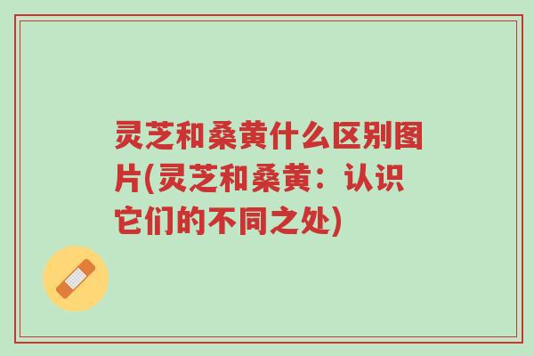 灵芝和桑黄什么区别图片(灵芝和桑黄:认识它们的不同之处)-第1张图片-超越 灵芝和桑黄什么区别图片(灵芝和桑黄:认识它们的不同之处)-第1张图片-超越