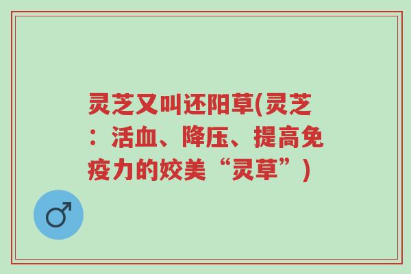 灵芝又叫还阳草(灵芝:活血、降压、提高免疫力的姣美“灵草”)-第1张图片-超越 灵芝又叫还阳草(灵芝:活血、降压、提高免疫力的姣美“灵草”)-第1张图片-超越