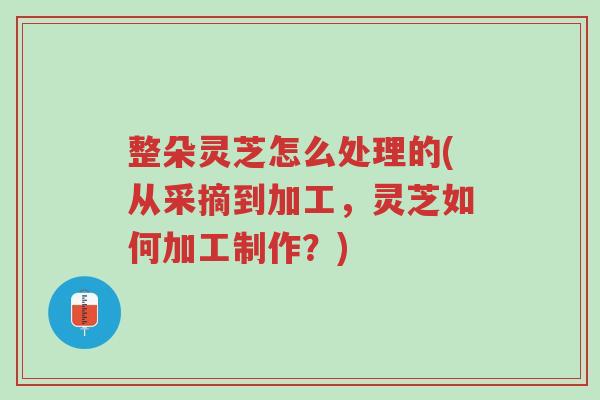 整朵灵芝怎么处理的(从采摘到加工,灵芝如何加工制作?)-第1张图片-超越 整朵灵芝怎么处理的(从采摘到加工,灵芝如何加工制作?)-第1张图片-超越