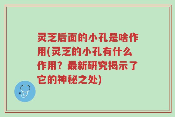 灵芝后面的小孔是啥作用(灵芝的小孔有什么作用?最新研究揭示了它的神秘之处)-第1张图片-超越 灵芝后面的小孔是啥作用(灵芝的小孔有什么作用?最新研究揭示了它的神秘之处)-第1张图片-超越