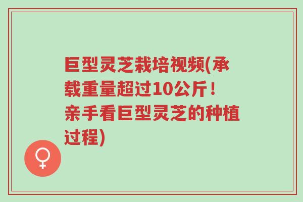 巨型灵芝栽培视频(承载重量超过10公斤!亲手看巨型灵芝的种植过程)-第1张图片-超越 巨型灵芝栽培视频(承载重量超过10公斤!亲手看巨型灵芝的种植过程)-第1张图片-超越
