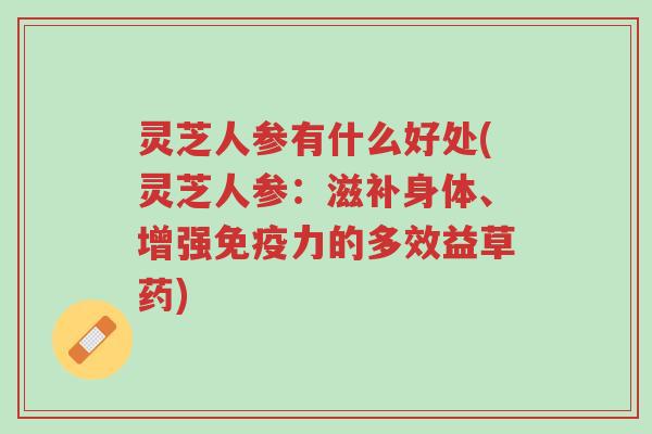 灵芝人参有什么好处(灵芝人参：滋补身体、增强免疫力的多效益草药)-第1张图片-超越