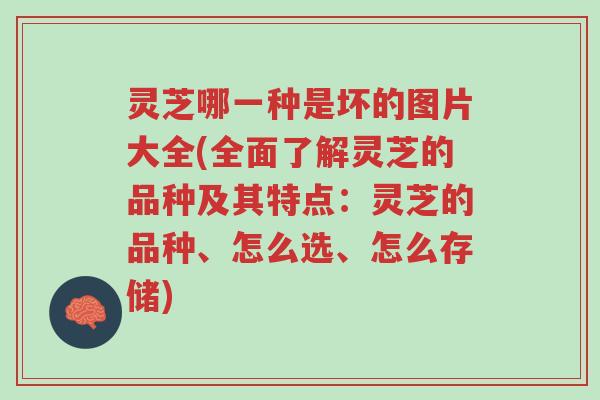 灵芝哪一种是坏的图片大全(全面了解灵芝的品种及其特点:灵芝的品种、怎么选、怎么存储)-第1张图片-超越 灵芝哪一种是坏的图片大全(全面了解灵芝的品种及其特点:灵芝的品种、怎么选、怎么存储)-第1张图片-超越