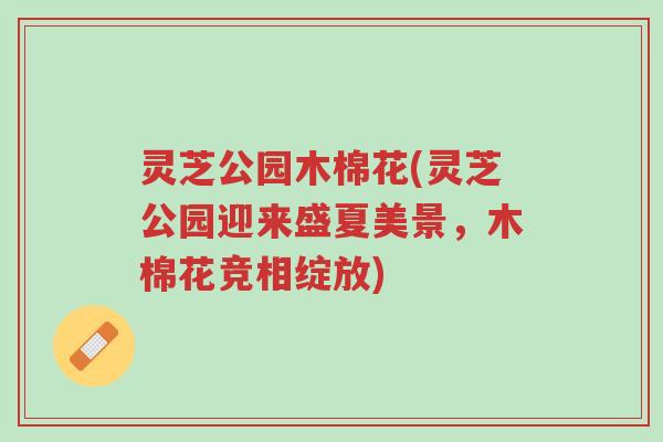 灵芝公园木棉花(灵芝公园迎来盛夏美景,木棉花竞相绽放)-第1张图片-超越 灵芝公园木棉花(灵芝公园迎来盛夏美景,木棉花竞相绽放)-第1张图片-超越