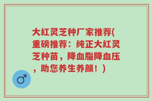 大红灵芝种厂家推荐(重磅推荐:纯正大红灵芝种苗,降血脂降血压,助您养生养颜!)-第1张图片-超越 大红灵芝种厂家推荐(重磅推荐:纯正大红灵芝种苗,降血脂降血压,助您养生养颜!)-第1张图片-超越
