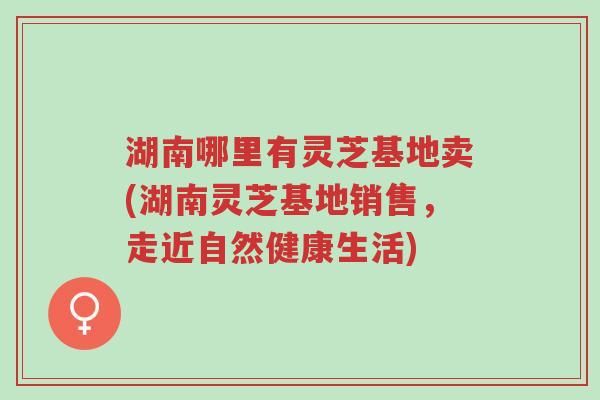 湖南哪里有灵芝基地卖(湖南灵芝基地销售,走近自然健康生活)-第1张图片-超越 湖南哪里有灵芝基地卖(湖南灵芝基地销售,走近自然健康生活)-第1张图片-超越