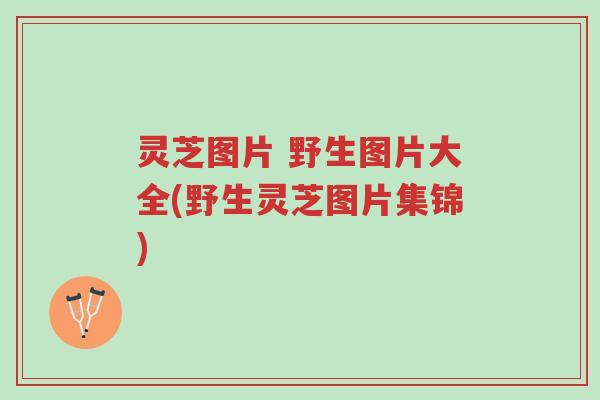 灵芝图片 野生图片大全(野生灵芝图片集锦)-第1张图片-超越 灵芝图片 野生图片大全(野生灵芝图片集锦)-第1张图片-超越