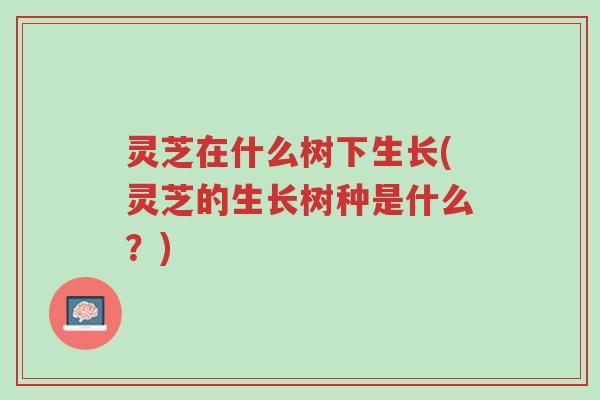 灵芝在什么树下生长(灵芝的生长树种是什么?)-第1张图片-超越 灵芝在什么树下生长(灵芝的生长树种是什么?)-第1张图片-超越