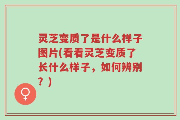 灵芝变质了是什么样子图片(看看灵芝变质了长什么样子,如何辨别?)-第1张图片-超越 灵芝变质了是什么样子图片(看看灵芝变质了长什么样子,如何辨别?)-第1张图片-超越