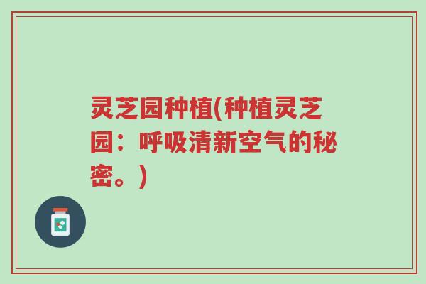 灵芝园种植(种植灵芝园:呼吸清新空气的秘密。)-第1张图片-超越 灵芝园种植(种植灵芝园:呼吸清新空气的秘密。)-第1张图片-超越