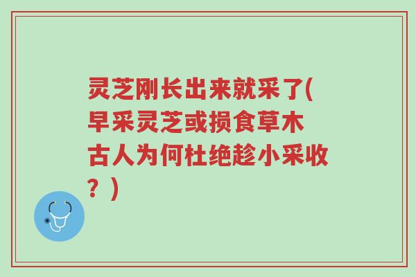 灵芝刚长出来就采了(早采灵芝或损食草木 古人为何杜绝趁小采收？)-第1张图片-超越