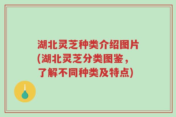 湖北灵芝种类介绍图片(湖北灵芝分类图鉴,了解不同种类及特点)-第1张图片-超越 湖北灵芝种类介绍图片(湖北灵芝分类图鉴,了解不同种类及特点)-第1张图片-超越