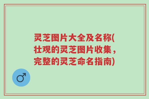 灵芝图片大全及名称(壮观的灵芝图片收集,完整的灵芝命名指南)-第1张图片-超越 灵芝图片大全及名称(壮观的灵芝图片收集,完整的灵芝命名指南)-第1张图片-超越