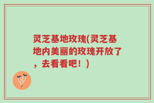 灵芝基地玫瑰(灵芝基地内美丽的玫瑰开放了,去看看吧!)-第1张图片-超越 灵芝基地玫瑰(灵芝基地内美丽的玫瑰开放了,去看看吧!)-第1张图片-超越