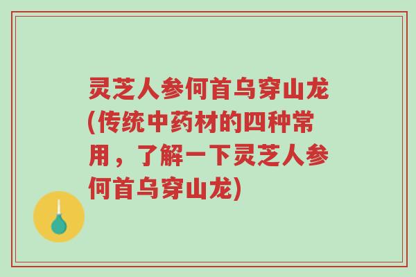 灵芝人参何首乌穿山龙(传统中药材的四种常用,了解一下灵芝人参何首乌穿山龙)-第1张图片-超越 灵芝人参何首乌穿山龙(传统中药材的四种常用,了解一下灵芝人参何首乌穿山龙)-第1张图片-超越