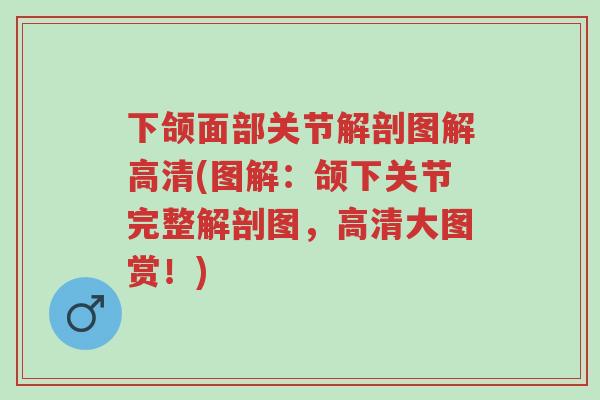 下颌面部关节解剖图解高清(图解:颌下关节完整解剖图,高清大图赏!)-第1张图片-超越 下颌面部关节解剖图解高清(图解:颌下关节完整解剖图,高清大图赏!)-第1张图片-超越