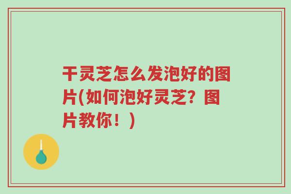 干灵芝怎么发泡好的图片(如何泡好灵芝?图片教你!)-第1张图片-超越 干灵芝怎么发泡好的图片(如何泡好灵芝?图片教你!)-第1张图片-超越