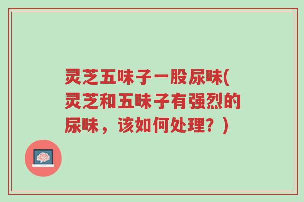灵芝五味子一股尿味(灵芝和五味子有强烈的尿味,该如何处理?)-第1张图片-超越 灵芝五味子一股尿味(灵芝和五味子有强烈的尿味,该如何处理?)-第1张图片-超越