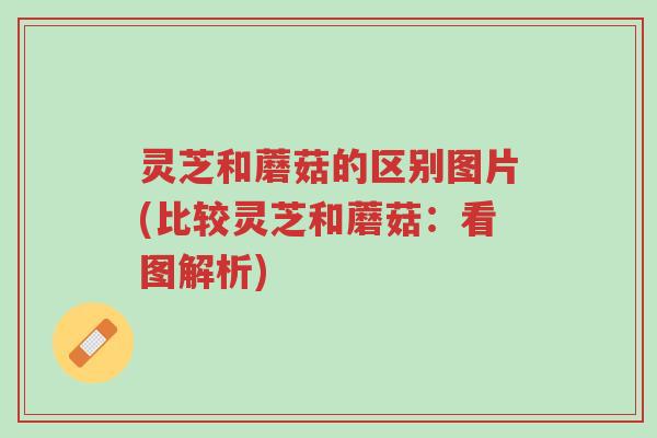 灵芝和蘑菇的区别图片(比较灵芝和蘑菇：看图解析)-第1张图片-超越