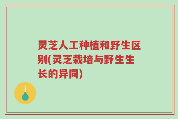 灵芝人工种植和野生区别(灵芝栽培与野生生长的异同)-第1张图片-超越 灵芝人工种植和野生区别(灵芝栽培与野生生长的异同)-第1张图片-超越