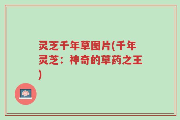 灵芝千年草图片(千年灵芝:神奇的草药之王)-第1张图片-超越 灵芝千年草图片(千年灵芝:神奇的草药之王)-第1张图片-超越