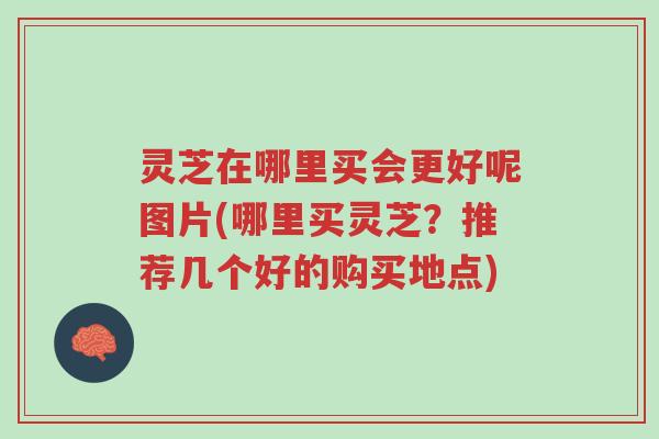 灵芝在哪里买会更好呢图片(哪里买灵芝?推荐几个好的购买地点)-第1张图片-超越 灵芝在哪里买会更好呢图片(哪里买灵芝?推荐几个好的购买地点)-第1张图片-超越