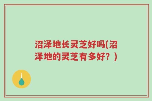 沼泽地长灵芝好吗(沼泽地的灵芝有多好？)-第1张图片-超越