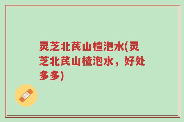 灵芝北芪山楂泡水(灵芝北芪山楂泡水，好处多多)-第1张图片-超越