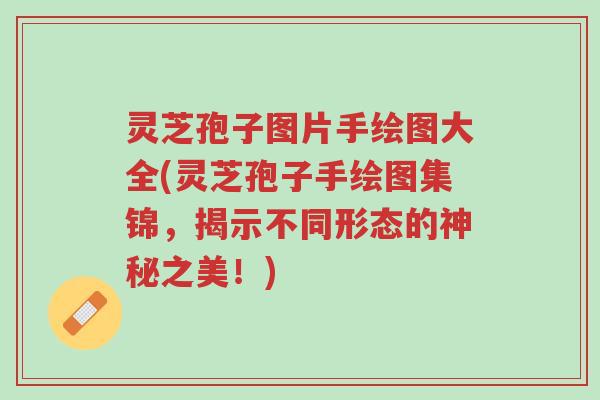 灵芝孢子图片手绘图大全(灵芝孢子手绘图集锦，揭示不同形态的神秘之美！)-第1张图片-超越