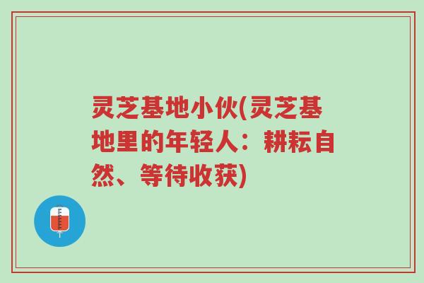 灵芝基地小伙(灵芝基地里的年轻人:耕耘自然、等待收获)-第1张图片-超越 灵芝基地小伙(灵芝基地里的年轻人:耕耘自然、等待收获)-第1张图片-超越