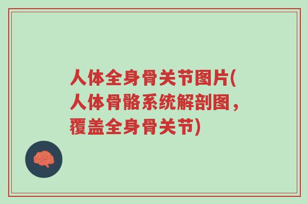 人体全身骨关节图片(人体骨骼系统解剖图,覆盖全身骨关节)-第1张图片-超越 人体全身骨关节图片(人体骨骼系统解剖图,覆盖全身骨关节)-第1张图片-超越