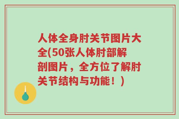 人体全身肘关节图片大全(50张人体肘部解剖图片,全方位了解肘关节结构与功能!)-第1张图片-超越 人体全身肘关节图片大全(50张人体肘部解剖图片,全方位了解肘关节结构与功能!)-第1张图片-超越