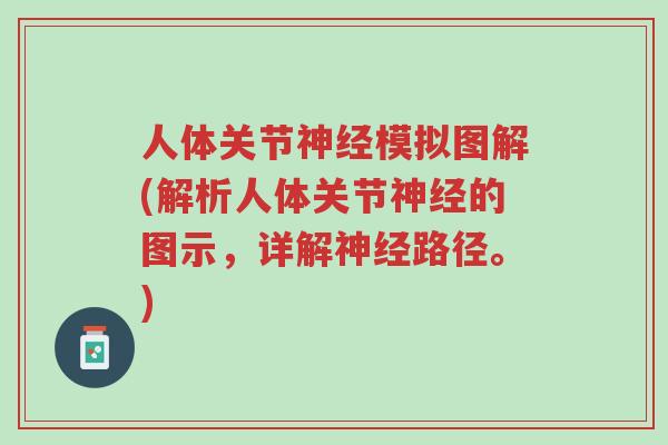 人体关节神经模拟图解(解析人体关节神经的图示,详解神经路径。)-第1张图片-超越 人体关节神经模拟图解(解析人体关节神经的图示,详解神经路径。)-第1张图片-超越