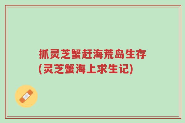 抓灵芝蟹赶海荒岛生存(灵芝蟹海上求生记)-第1张图片-超越 抓灵芝蟹赶海荒岛生存(灵芝蟹海上求生记)-第1张图片-超越