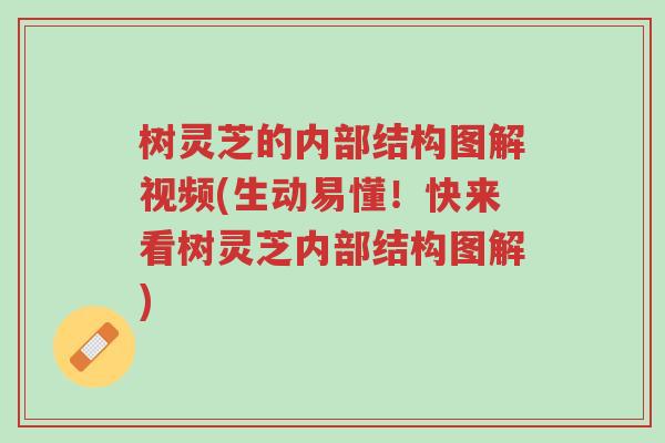 树灵芝的内部结构图解视频(生动易懂!快来看树灵芝内部结构图解)-第1张图片-超越 树灵芝的内部结构图解视频(生动易懂!快来看树灵芝内部结构图解)-第1张图片-超越