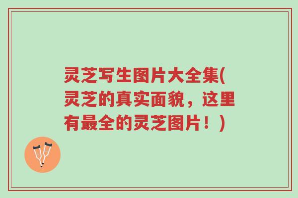 灵芝写生图片大全集(灵芝的真实面貌，这里有最全的灵芝图片！)-第1张图片-超越