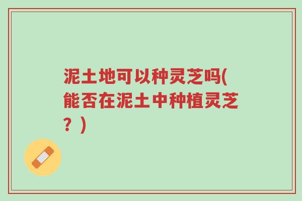 泥土地可以种灵芝吗(能否在泥土中种植灵芝?)-第1张图片-超越 泥土地可以种灵芝吗(能否在泥土中种植灵芝?)-第1张图片-超越