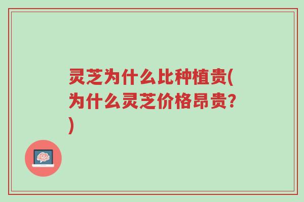 灵芝为什么比种植贵(为什么灵芝价格昂贵?)-第1张图片-超越 灵芝为什么比种植贵(为什么灵芝价格昂贵?)-第1张图片-超越