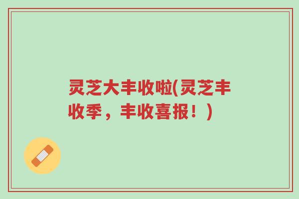 灵芝大丰收啦(灵芝丰收季,丰收喜报!)-第1张图片-超越 灵芝大丰收啦(灵芝丰收季,丰收喜报!)-第1张图片-超越