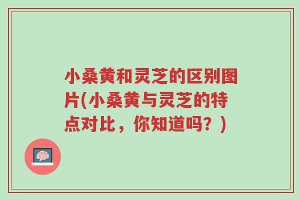 小桑黄和灵芝的区别图片(小桑黄与灵芝的特点对比,你知道吗?)-第1张图片-超越 小桑黄和灵芝的区别图片(小桑黄与灵芝的特点对比,你知道吗?)-第1张图片-超越