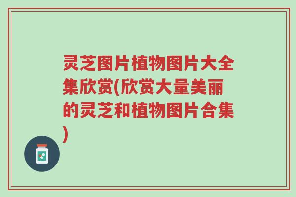 灵芝图片植物图片大全集欣赏(欣赏大量美丽的灵芝和植物图片合集)-第1张图片-超越