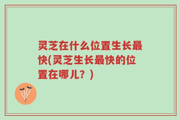 灵芝在什么位置生长最快(灵芝生长最快的位置在哪儿?)-第1张图片-超越 灵芝在什么位置生长最快(灵芝生长最快的位置在哪儿?)-第1张图片-超越