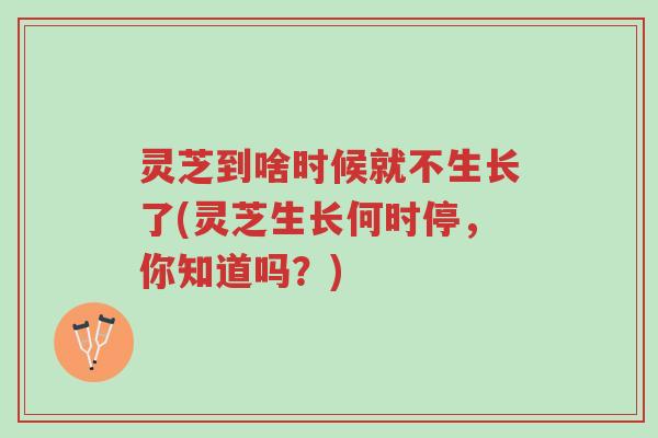 灵芝到啥时候就不生长了(灵芝生长何时停,你知道吗?)-第1张图片-超越 灵芝到啥时候就不生长了(灵芝生长何时停,你知道吗?)-第1张图片-超越