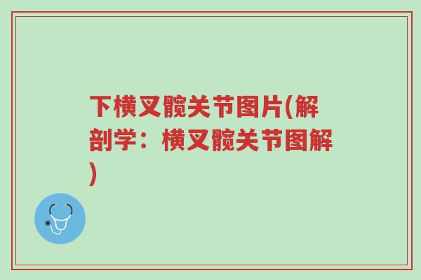 下横叉髋关节图片(解剖学:横叉髋关节图解)-第1张图片-超越 下横叉髋关节图片(解剖学:横叉髋关节图解)-第1张图片-超越
