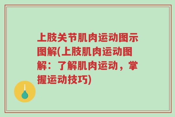 上肢关节肌肉运动图示图解(上肢肌肉运动图解:了解肌肉运动,掌握运动技巧)-第1张图片-超越 上肢关节肌肉运动图示图解(上肢肌肉运动图解:了解肌肉运动,掌握运动技巧)-第1张图片-超越