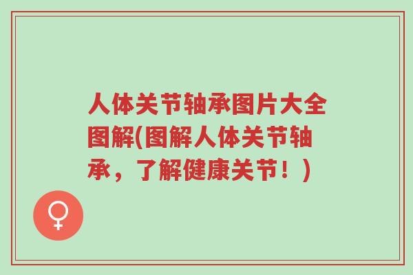 人体关节轴承图片大全图解(图解人体关节轴承,了解健康关节!)-第1张图片-超越 人体关节轴承图片大全图解(图解人体关节轴承,了解健康关节!)-第1张图片-超越