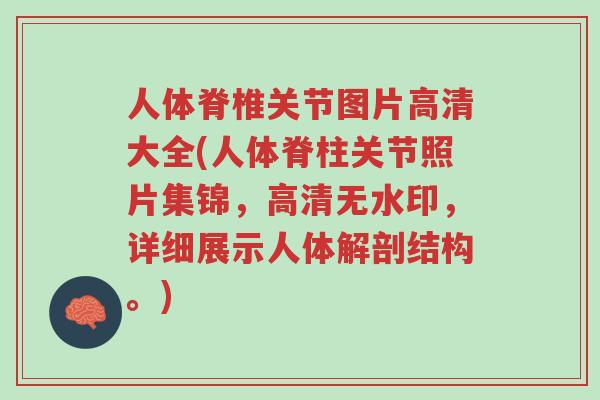 人体脊椎关节图片高清大全(人体脊柱关节照片集锦,高清无水印,详细展示人体解剖结构。)-第1张图片-超越 人体脊椎关节图片高清大全(人体脊柱关节照片集锦,高清无水印,详细展示人体解剖结构。)-第1张图片-超越